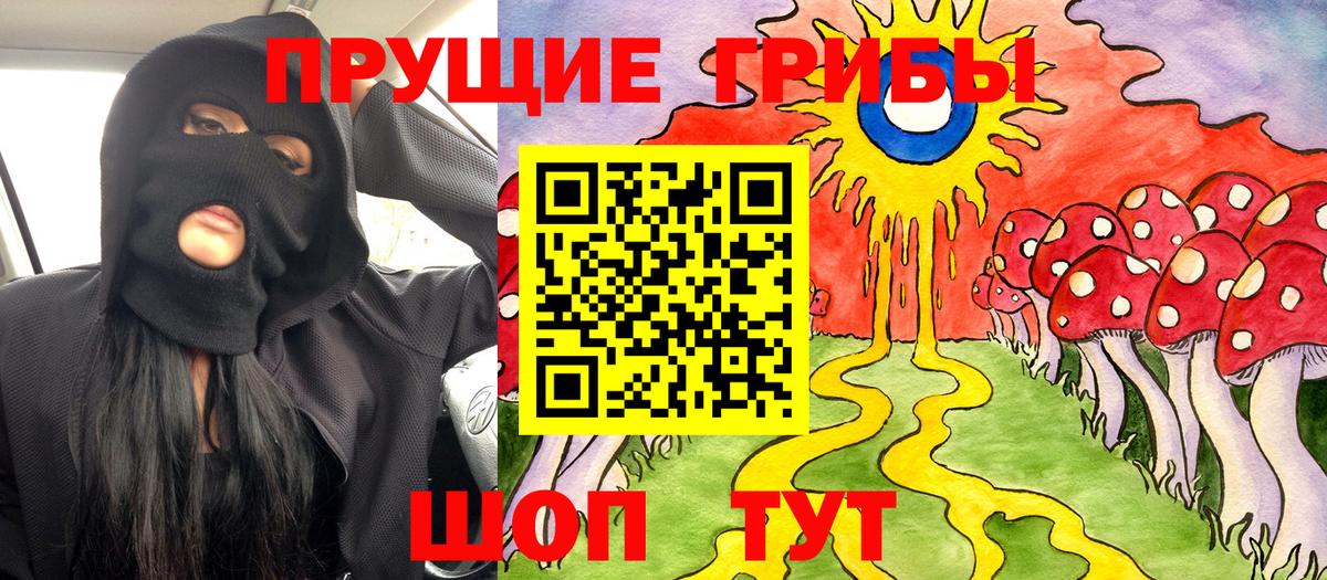 Галлюциногенные грибы Cubensis Амурск