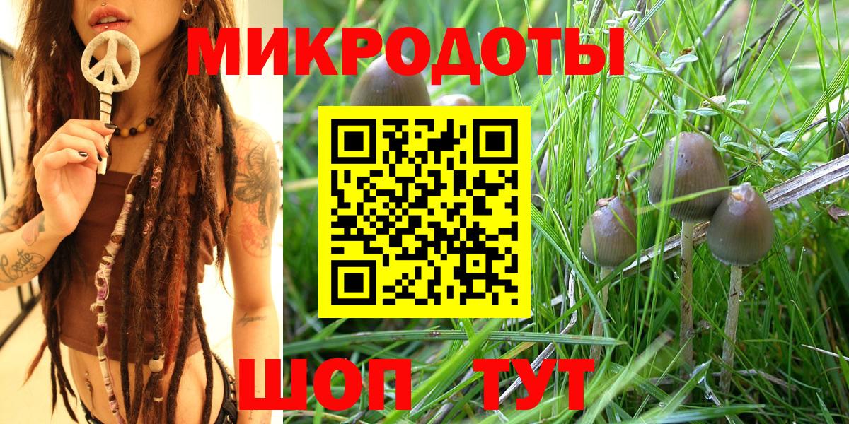 Амурск  Псилоцибиновые грибы GOLDEN TEACHER  Вход с VPN 